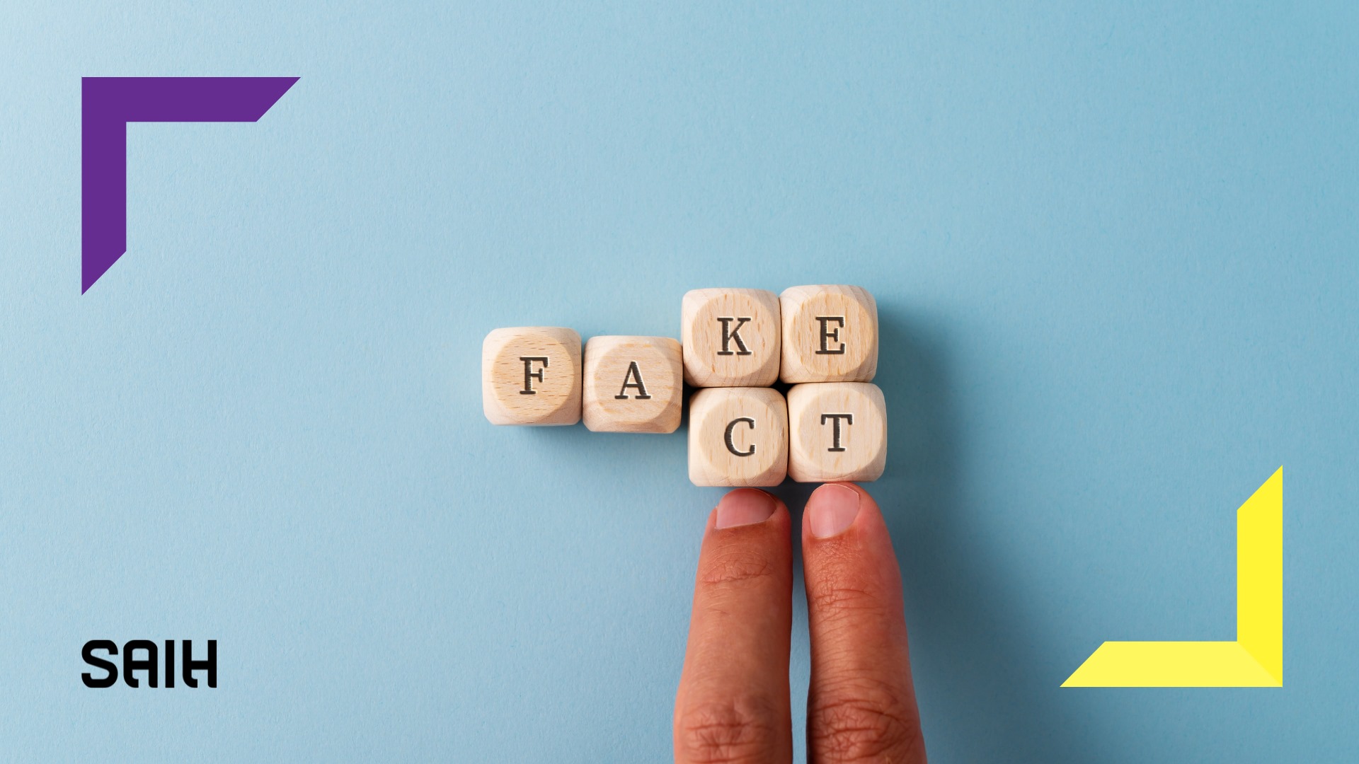 Bilde av terninger med teksten Fake fact